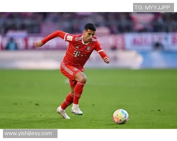 坎塞洛：从边缘球员到世界级后卫的华丽转身与职业生涯新篇章