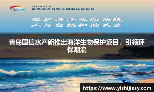 VSport网址