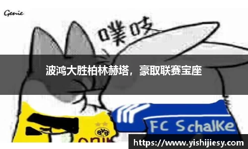 VSport体育