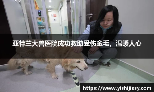 亚特兰大兽医院成功救助受伤金毛，温暖人心