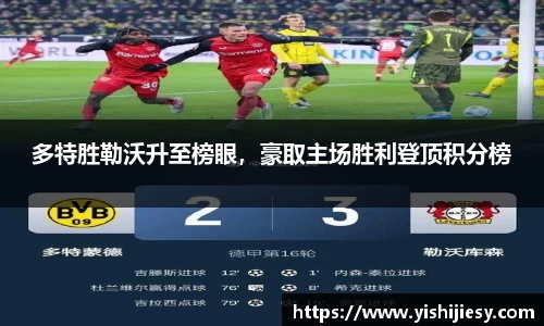 VSport网址