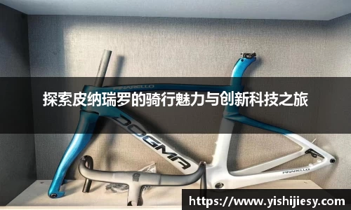 VSport官网