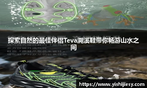 VSport官网