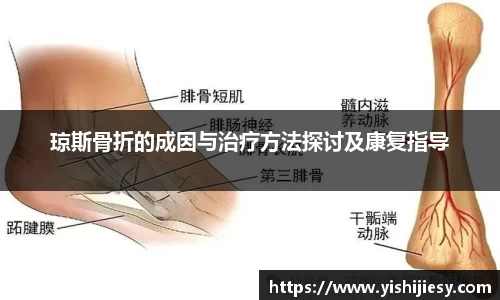 VSport体育